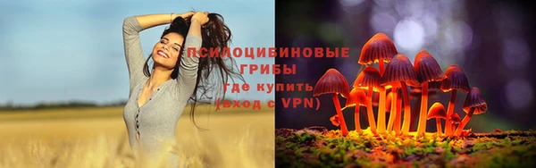 соль ск Зеленодольск