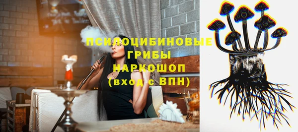 ГАЛЛЮЦИНОГЕННЫЕ ГРИБЫ Зерноград
