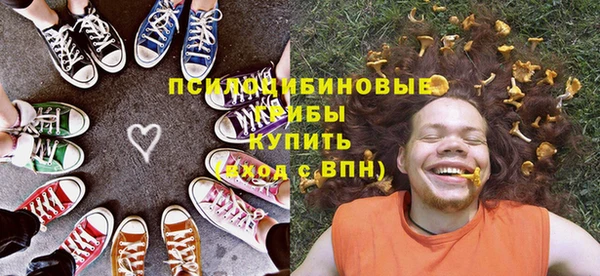 ГАЛЛЮЦИНОГЕННЫЕ ГРИБЫ Зерноград