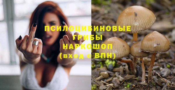 соль ск Зеленодольск