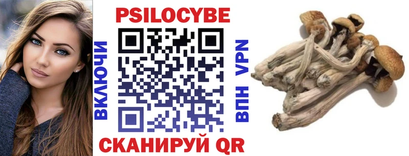 Псилоцибиновые грибы Cubensis  Купить где  Куйбышев 